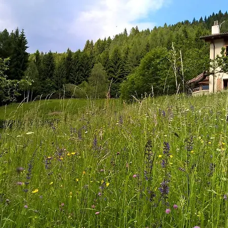 Agaz Holiday home Sovramonte