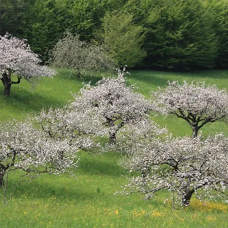 Dom wakacyjny Agaz Sovramonte