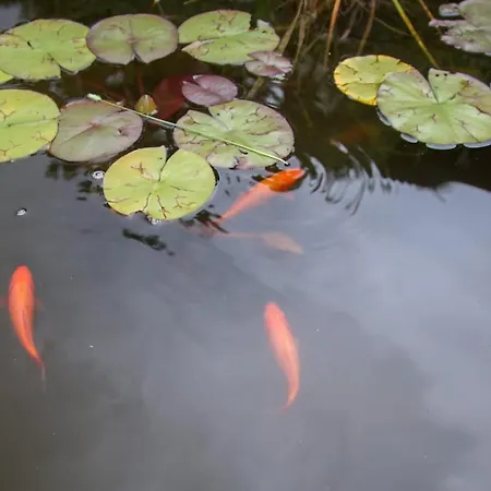 Semesterbostad Agaz Sovramonte