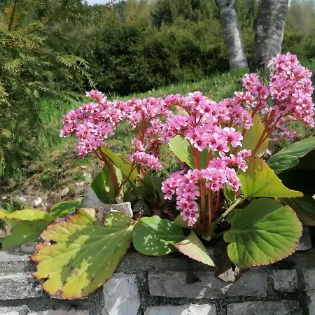 Agaz Semesterbostad Sovramonte