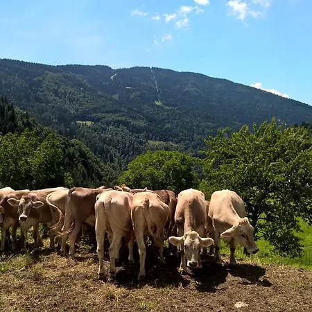 Semesterbostad Agaz *