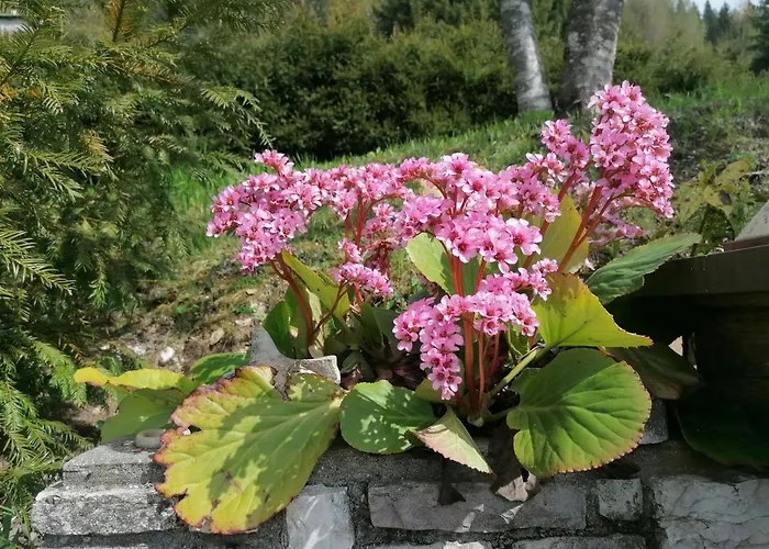 Agaz Сasa de vacaciones Sovramonte