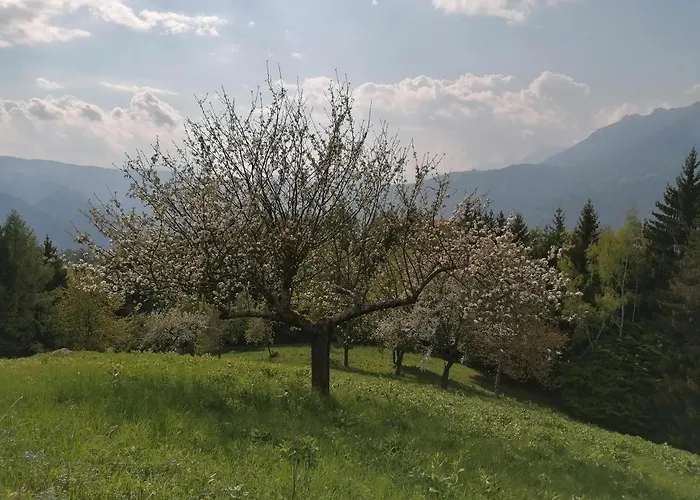 Agaz Сasa de vacaciones *