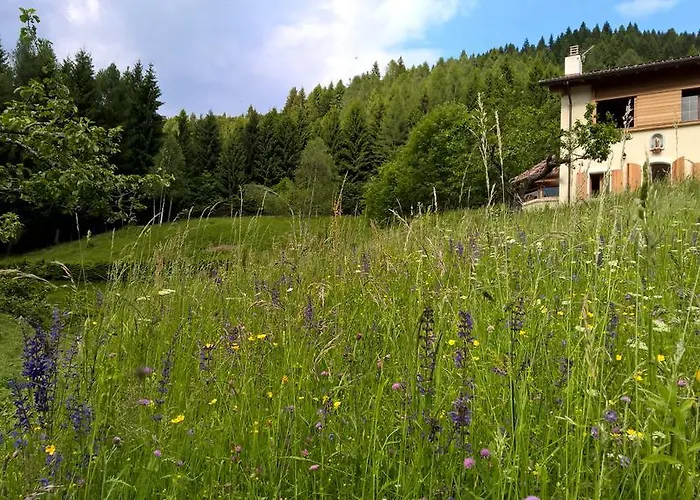 Agaz Сasa de vacaciones Sovramonte