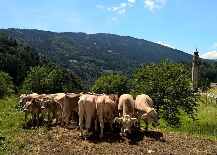 بيت للعطل Agaz *