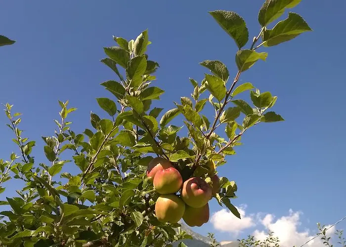 Agaz Сasa de vacaciones