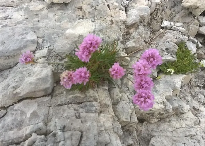 Сasa de vacaciones Agaz *