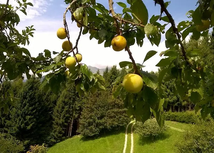 Сasa de vacaciones Agaz